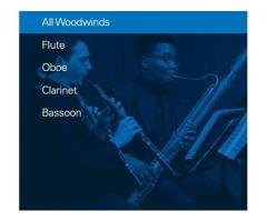 Reach New Heights in Woodwinds at Juilliard