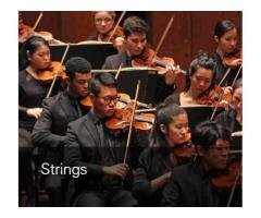 Master String Instruments at Juilliard